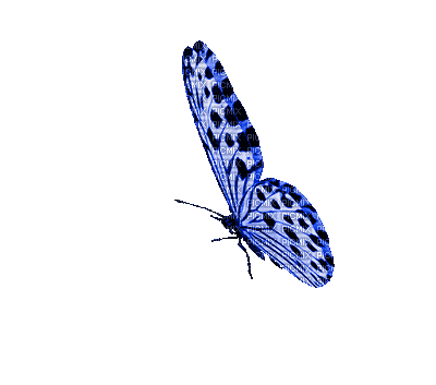 CSOWIN Visual